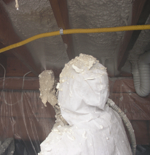 Philadelphia Pennsylvan crawl space insulation